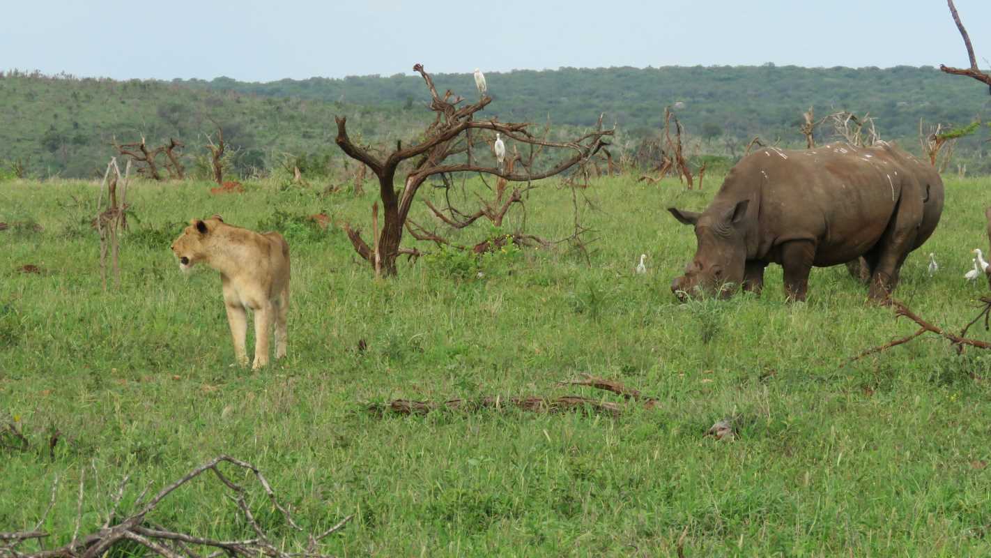 5 Awesome Wildlife Reserves for Close Encounters