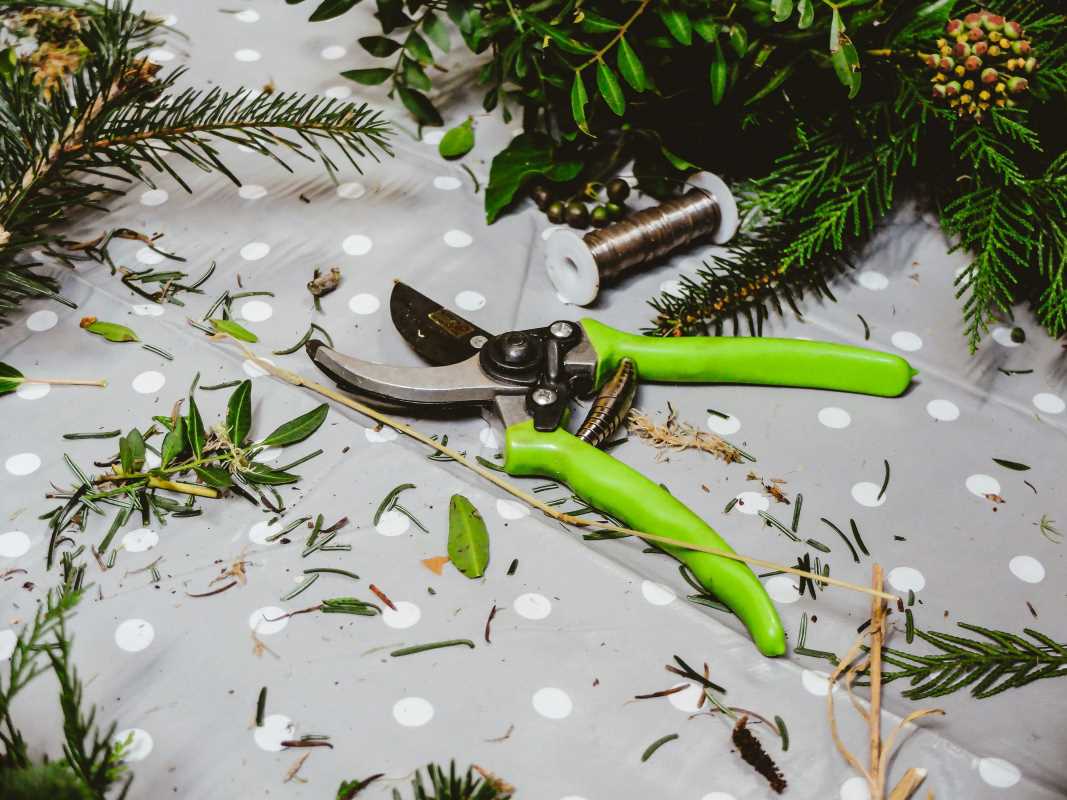 5 Christmas Gift Ideas for Your Gardner
