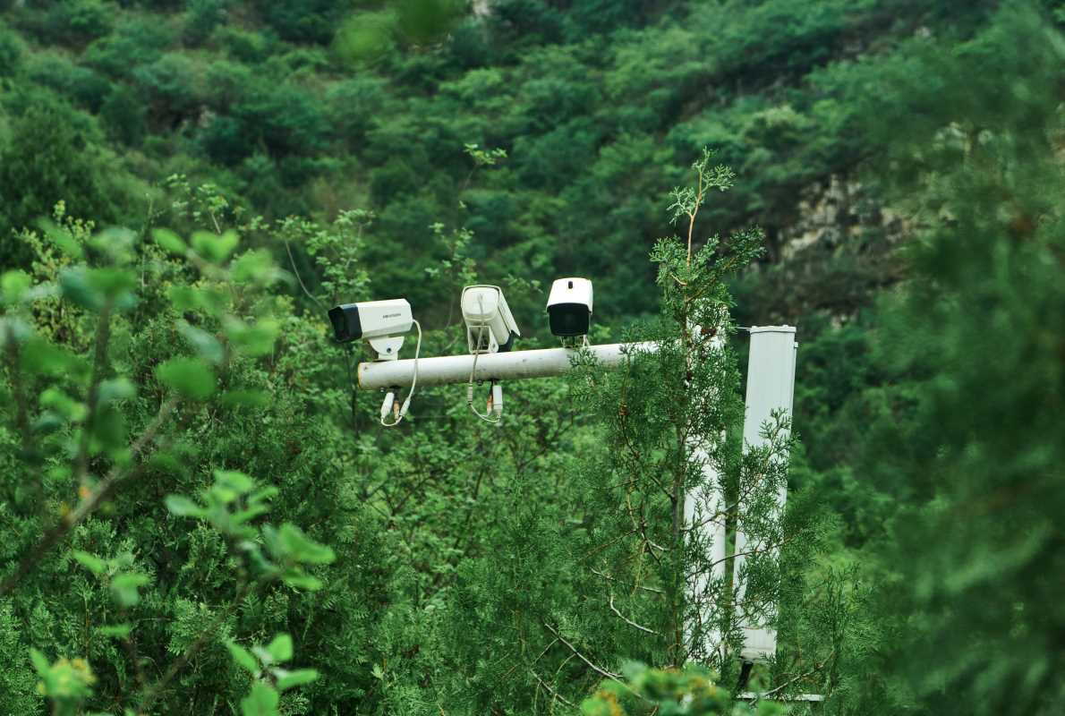 5 Awesome Wildlife Cameras for Capturing Nocturnal Visitors