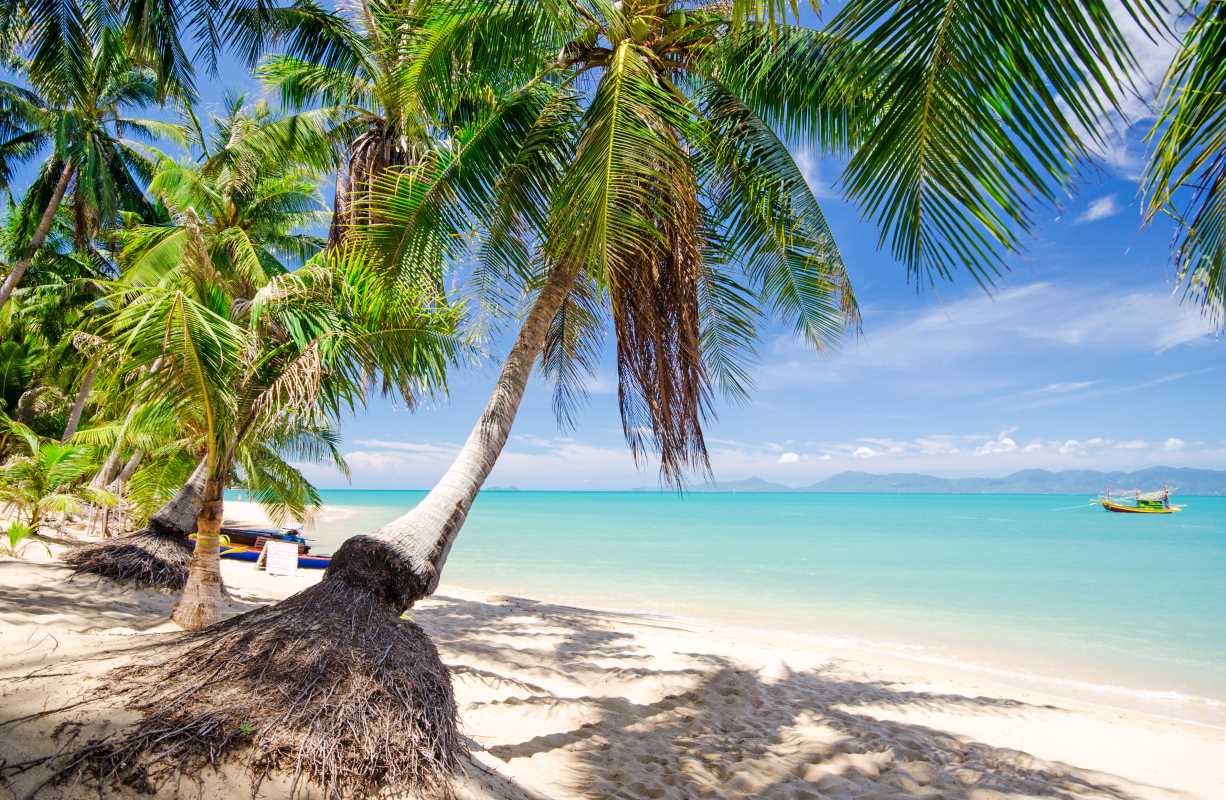 Chill Island Destinations for Relaxation and Adventure