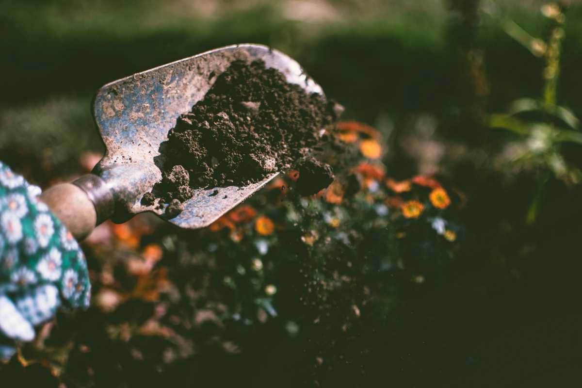 Compact Shovels That Do More Than Just Dig